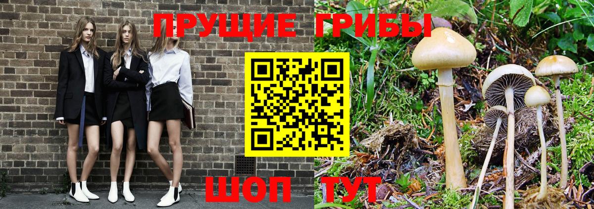 Фрязино  Галлюциногенные грибы Cubensis  Вход с VPN 